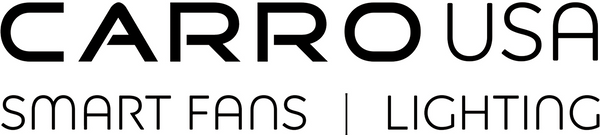 CarroUSA.com logo