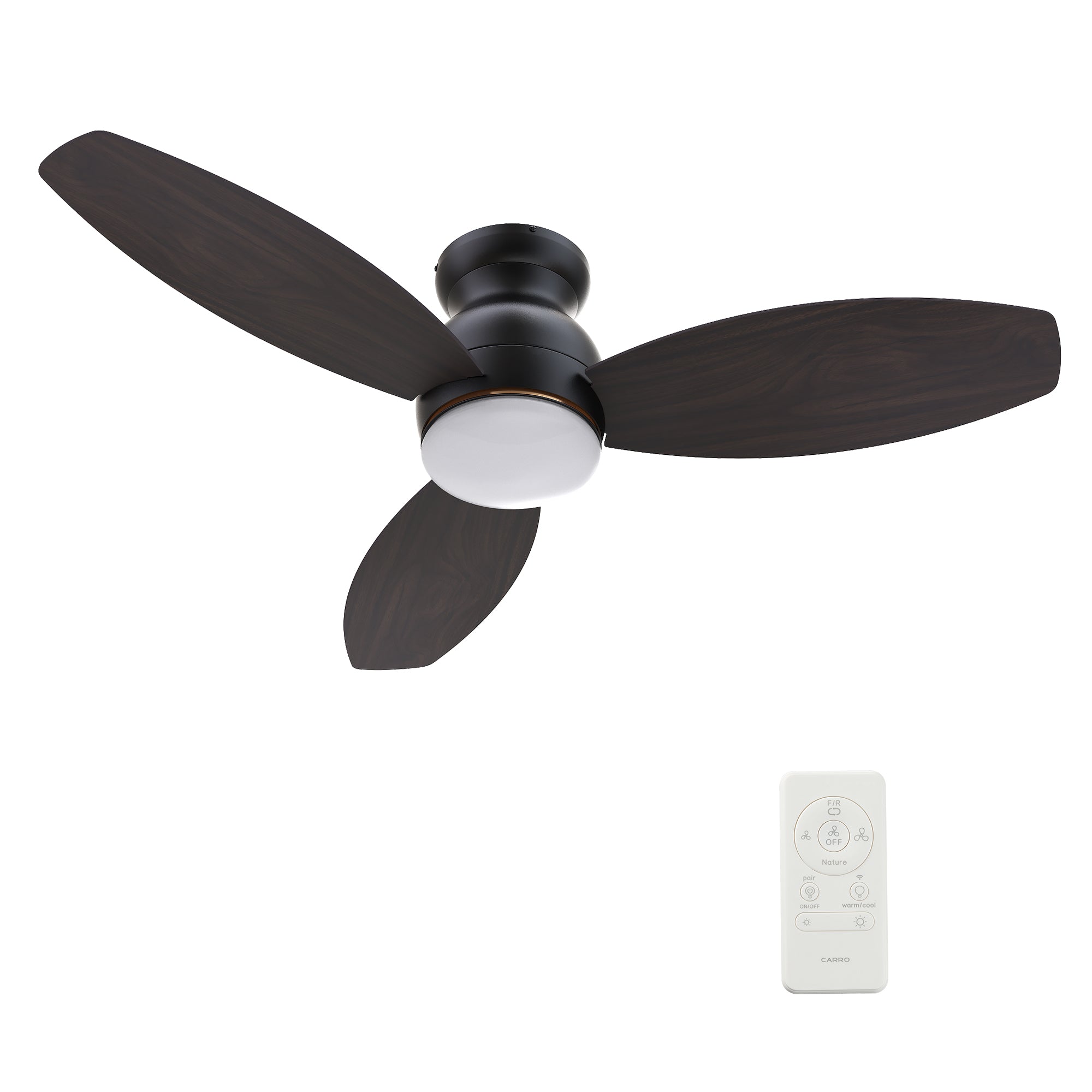 Carro TRENTO 60 inch 3-Blade Smart Ceiling Fan with LED Light Kit & Remote- Black/Walnut & Light Wood (Reversible Blades)