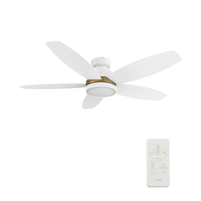 Webster 48 inch 5-Blade Ceiling Fan with LED Light Kit & Remote Control - White
