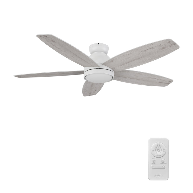 Webster 52 inch 5-Blade Ceiling Fan with LED Light Kit & Remote Control - White