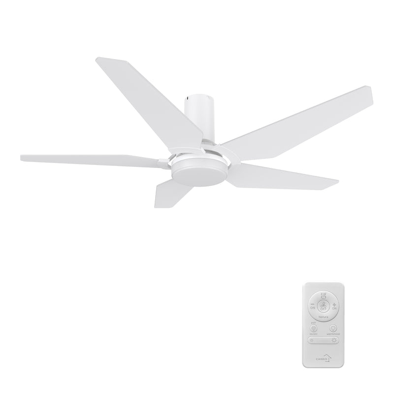 Lund 48 inch 5-Blade Ceiling Fan with LED Light Kit & Remote Control - White
