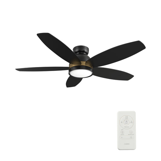 Webster 48 inch 5-Blade Ceiling Fan with LED Light Kit & Remote Control - Black