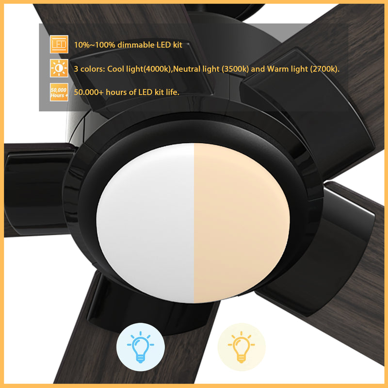 Chantal 60 inch 5-Blade Ceiling Fan with LED Light & Remote Control - Black/Walnut & Barnwood (Reversible Blades)