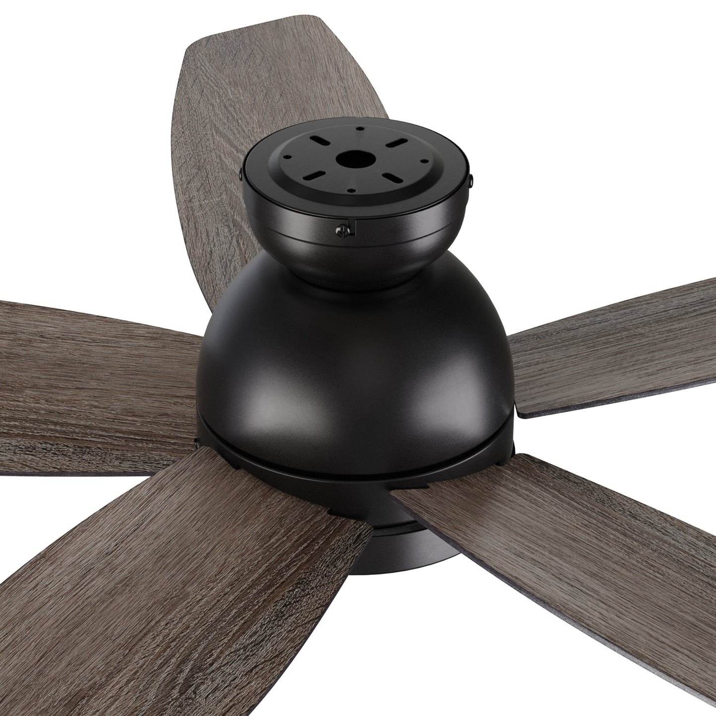 Webster 52 inch 5-Blade Ceiling Fan with LED Light Kit & Remote Control - Black