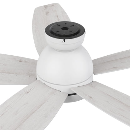 Webster 52 inch 5-Blade Ceiling Fan with LED Light Kit & Remote Control - White