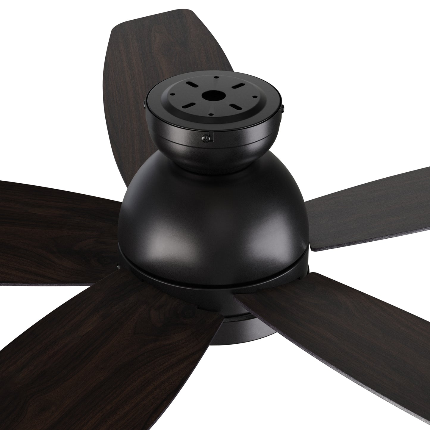 Webster 52 inch 5-Blade Ceiling Fan with LED Light Kit & Remote Control - Black