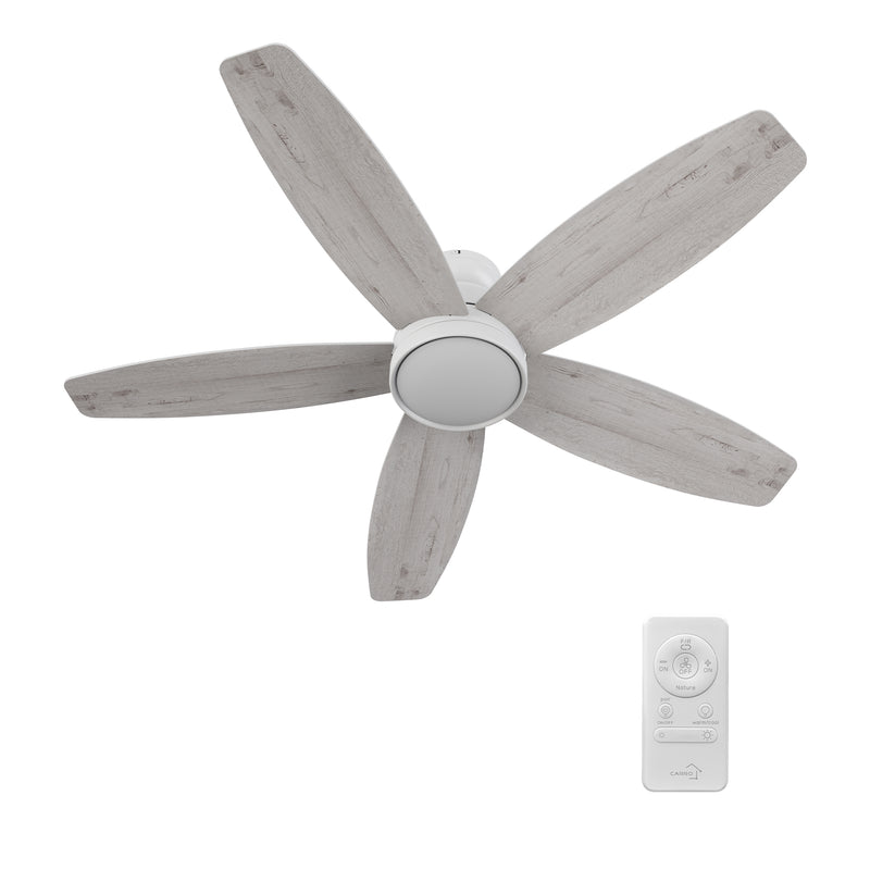 Webster 52 inch 5-Blade Ceiling Fan with LED Light Kit & Remote Control - White