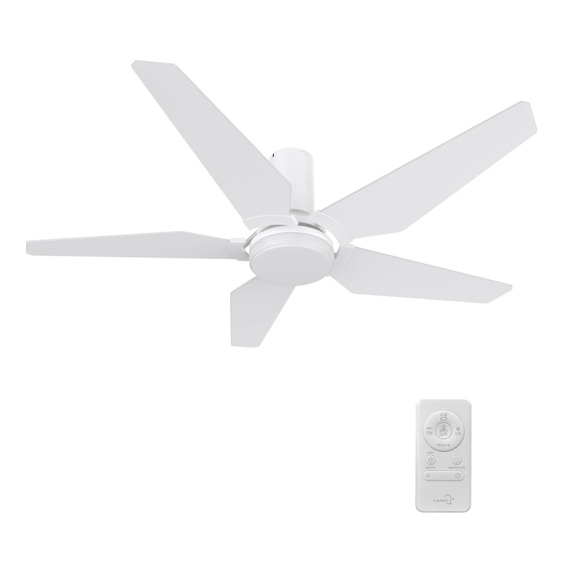 Lund 48 inch 5-Blade Ceiling Fan with LED Light Kit & Remote Control - White