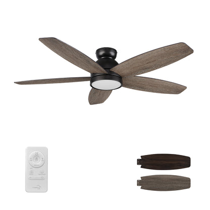 Webster 52 inch 5-Blade Ceiling Fan with LED Light Kit & Remote Control - Black