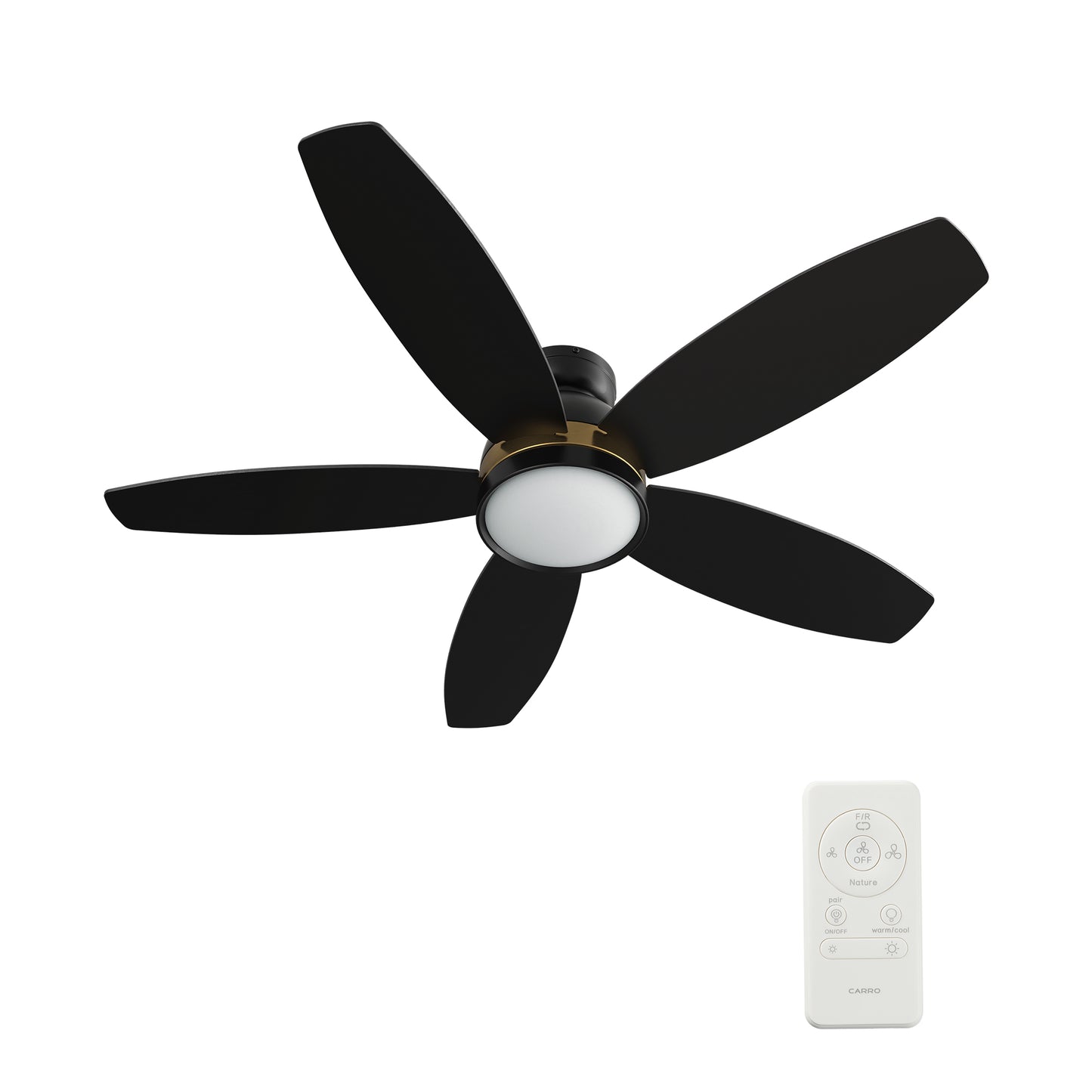 Webster 48 inch 5-Blade Ceiling Fan with LED Light Kit & Remote Control - Black