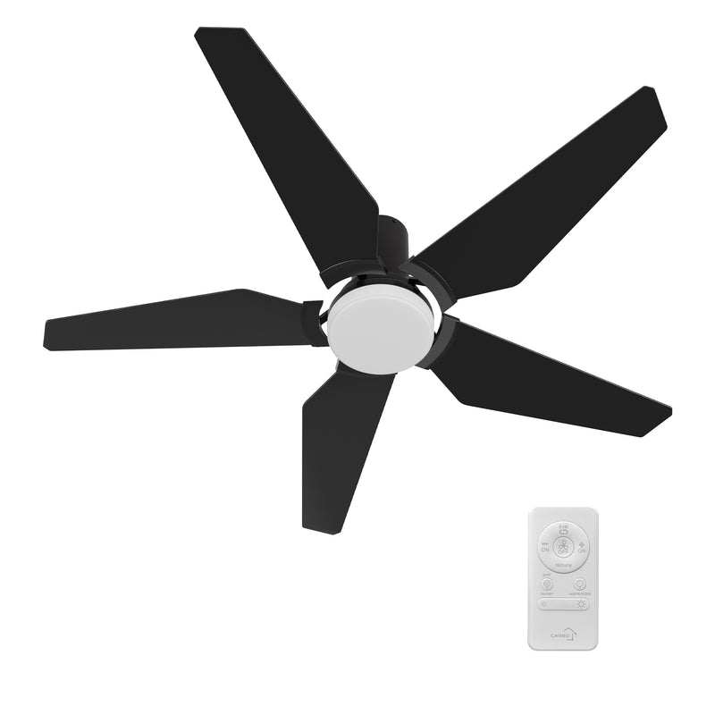 Lund 52 inch 5-Blade Ceiling Fan with LED Light Kit & Remote Control - Black