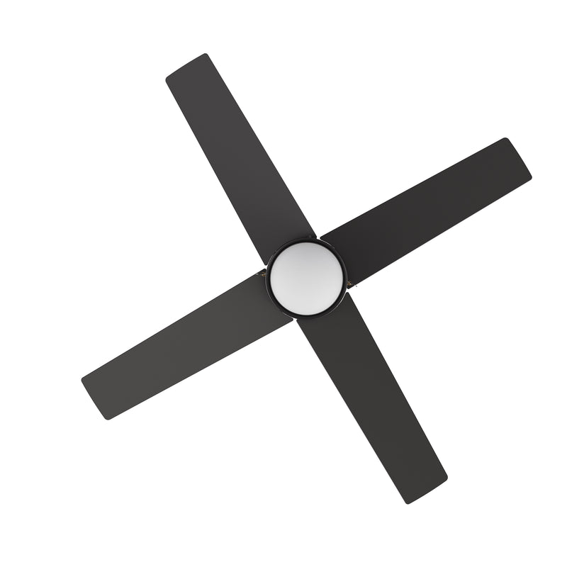 ASCOTT 52 inch 4-Blade Ceiling Fan with Pull Chain - Black/Black