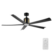 KNOX 60 inch 5-Blade Ceiling Fan with LED Light & Remote