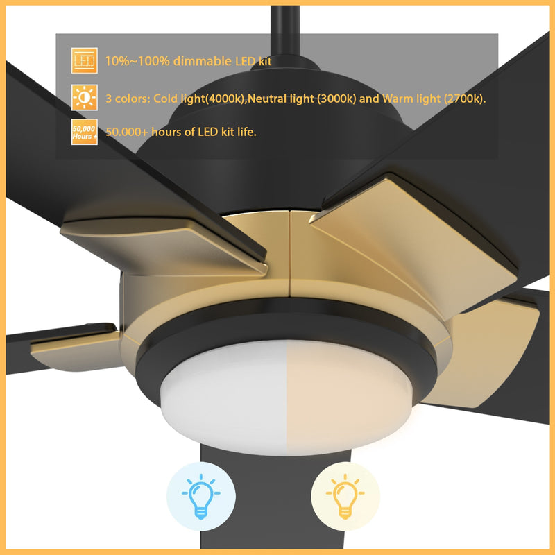 ASCENDER 52 inch 5-Blade Smart Ceiling Fan with LED Light & Remote Control - Gold/Black