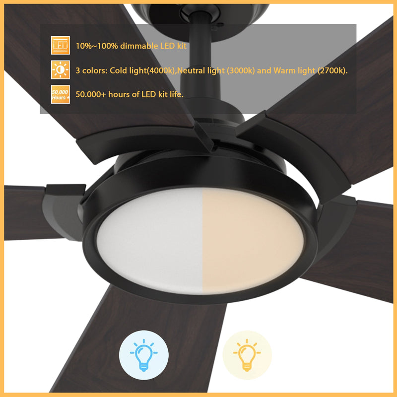Carro Home WINSTON 52 inch 5-Blade Smart Ceiling Fan with LED Light Kit & Remote Control- Black/Walnut Wood Fan Blades