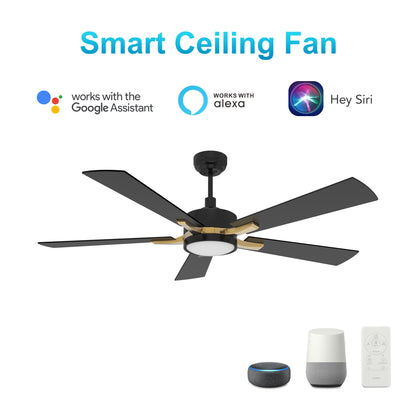 APPLETON 56 inch 5-Blade Smart Ceiling Fan with LED Light Kit & Remote Control- Black/Black (Gold Detail)