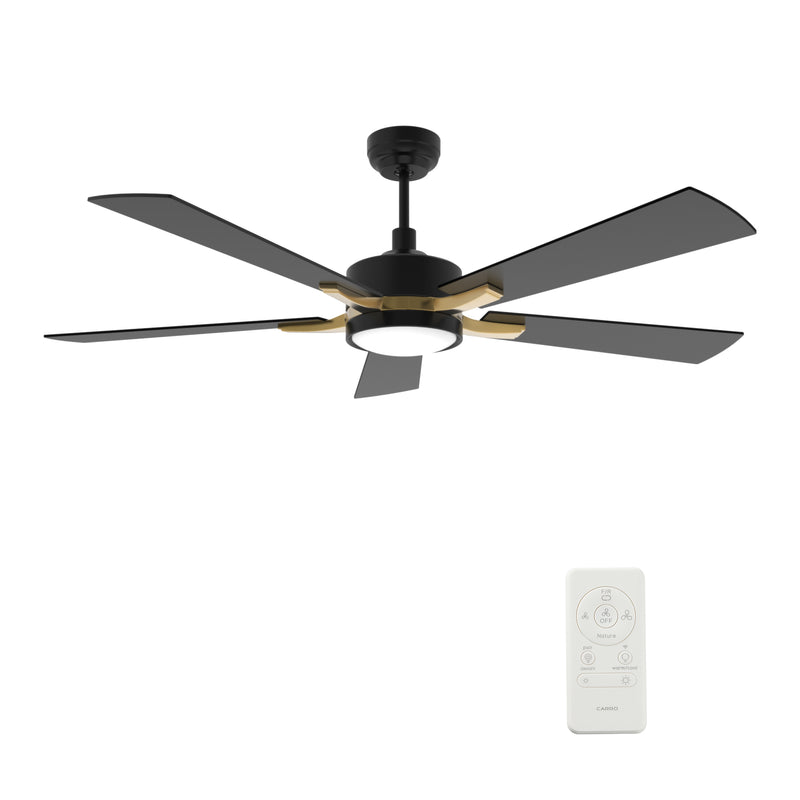 APPLETON 56 inch 5-Blade Smart Ceiling Fan with LED Light Kit & Remote Control- Black/Black (Gold Detail)