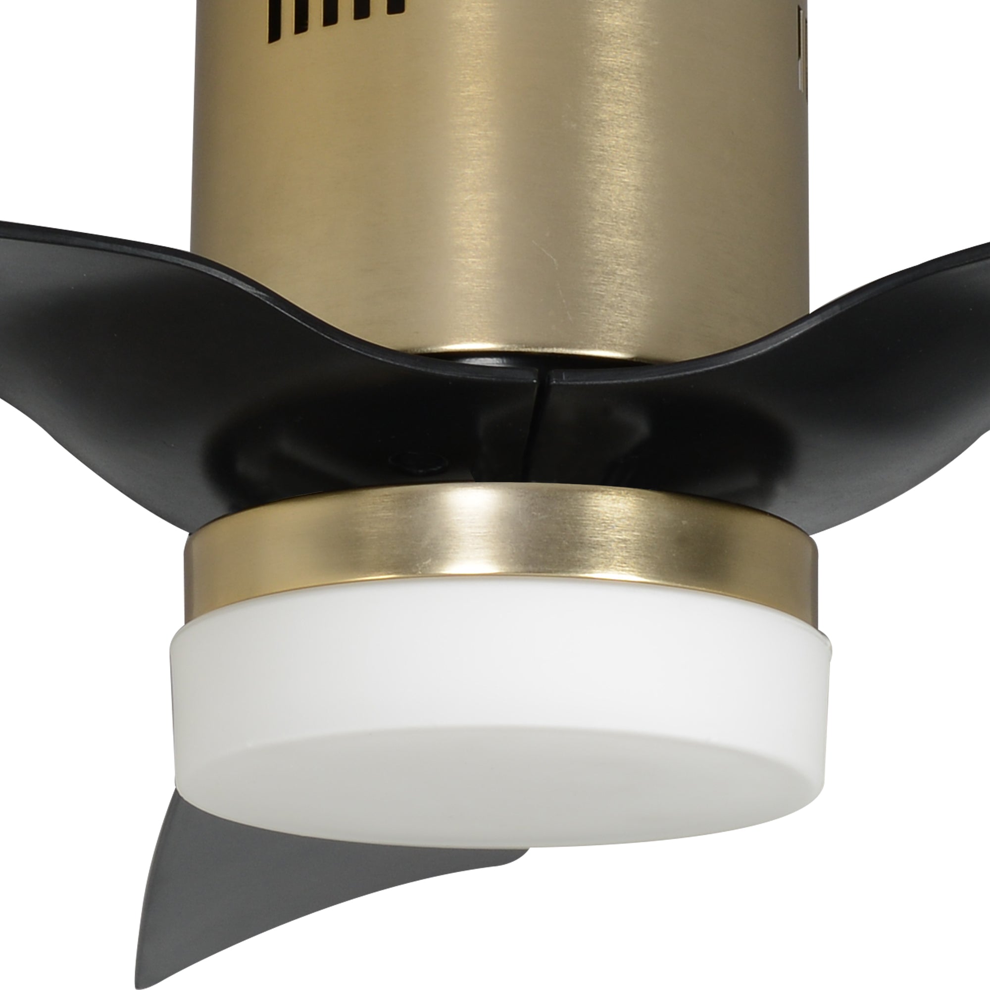SPEZIA- Replacement Motor - Gold
