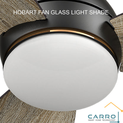 Carro Home Smart Ceiling Fan Glass Shade