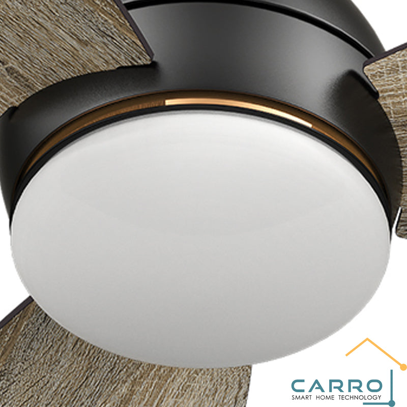Carro Home Smart Ceiling Fan Glass Shade