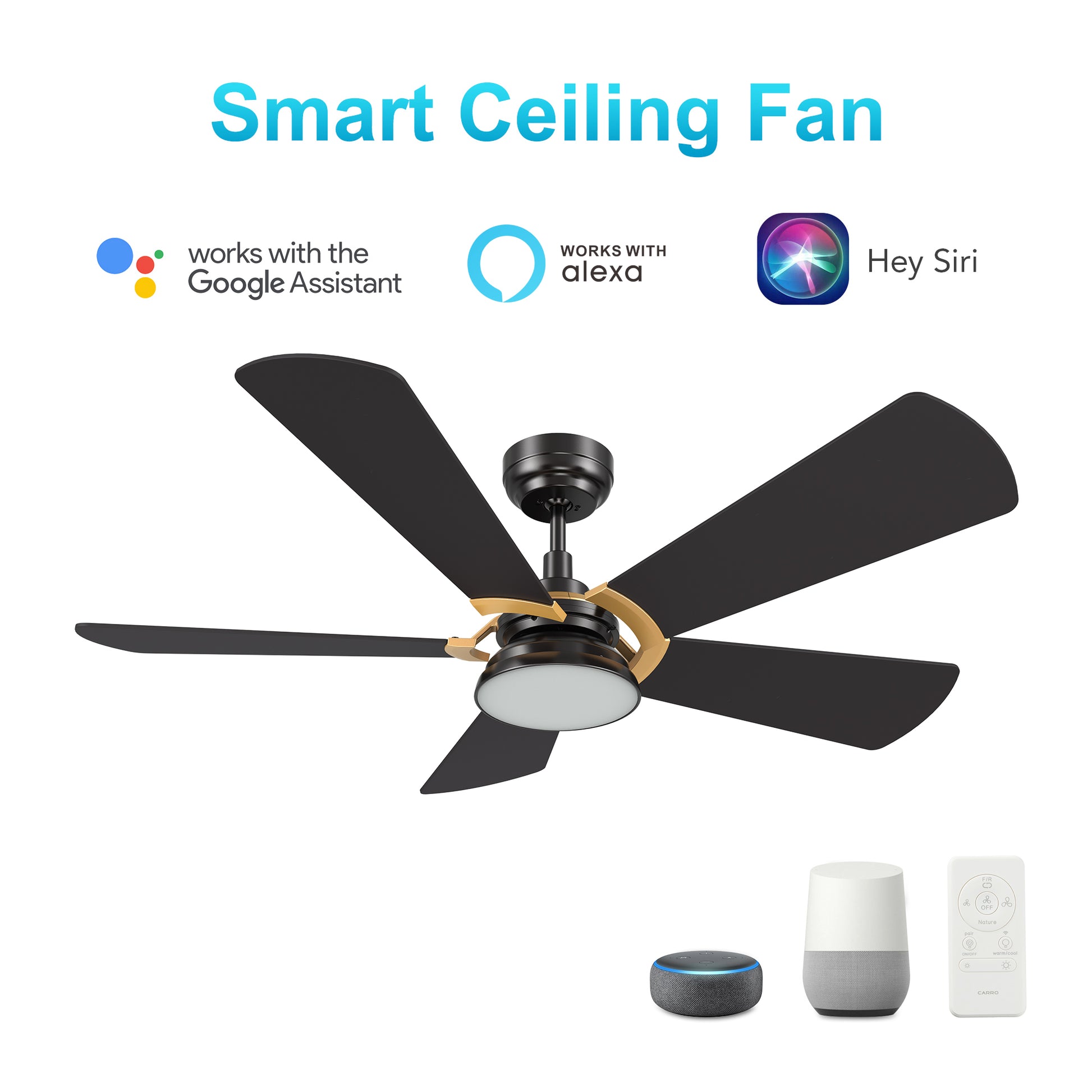 Carro SAVILI 52 inch 5-Blade Smart Ceiling Fan with LED Light Kit & Remote Control- Black/Black (Gold Details)