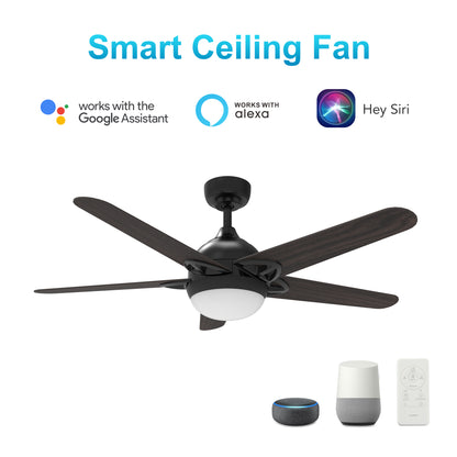 Carro USA SOLASTA 52 inch 5-Blade Smart Ceiling Fan with LED Light Kit & Remote - Black/Dark Wood fan blades