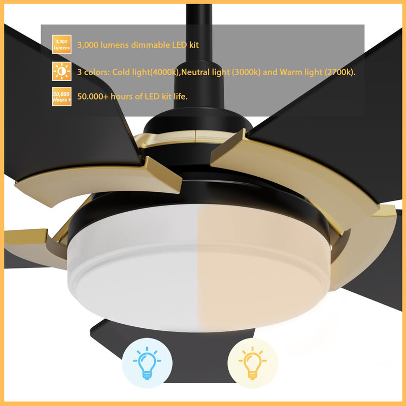 Carro WOODROW 52 inch 5-Blade Smart Ceiling Fan with LED Light Kit & Remote - Black/Black (Gold Details)