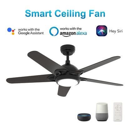 Carro SOLASTA 56 inch 5-Blade Smart Ceiling Fan with LED Light Kit & Remote - Black/Dark Wood fan blades