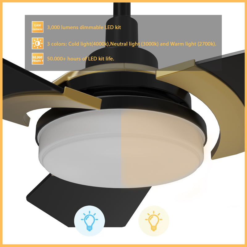 Carro USA KAJ 56 inch 3-Blade Smart Ceiling Fan with LED Light Kit & Remote-Black/Black (Gold Details) fan blades