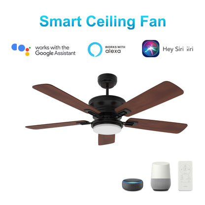 Carro Home GLADIOLUS 52 inch 5-Blade Indoor/Outdoor Smart Ceiling Fan with LED Light Kit & Remote - Black/Wooden Pattern fan blades