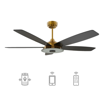 Carro JOURNEY 52 inch 5-Blade Smart Ceiling Fan with LED Light Kit & Remote - Gold/Black fan blades