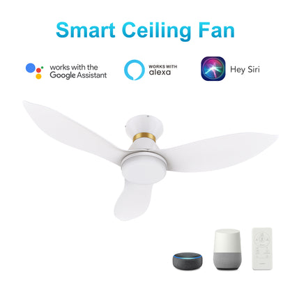 Carro RYATT 45 inch 3-Blade Flush Mount Smart Ceiling Fan with LED Light Kit & Remote- White/White (Gold Detail)