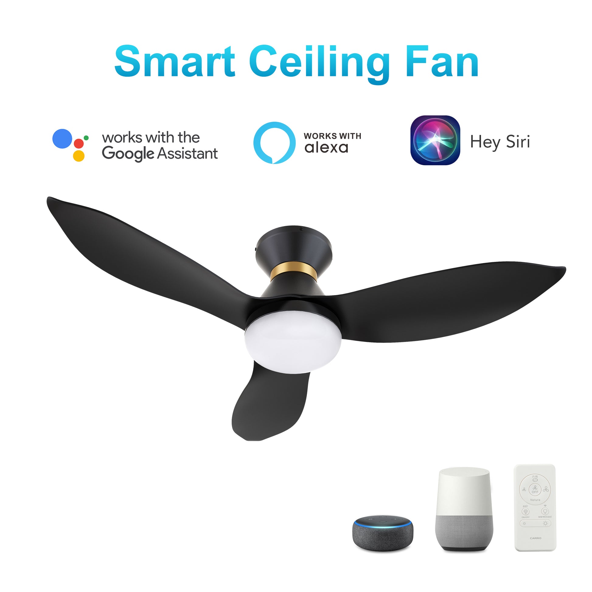 Carro RYATT 45 inch 3-Blade Flush Mount Smart Ceiling Fan with LED Light Kit & Remote- Black/Black (Gold Detail)