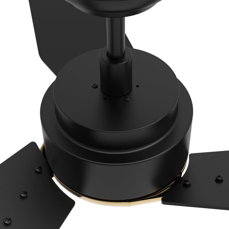 Carro TRACER 48 inch 3-Blade Smart Ceiling Fan with LED Light Kit & Remote Control- Black/Black (Gold Detail) fan blades