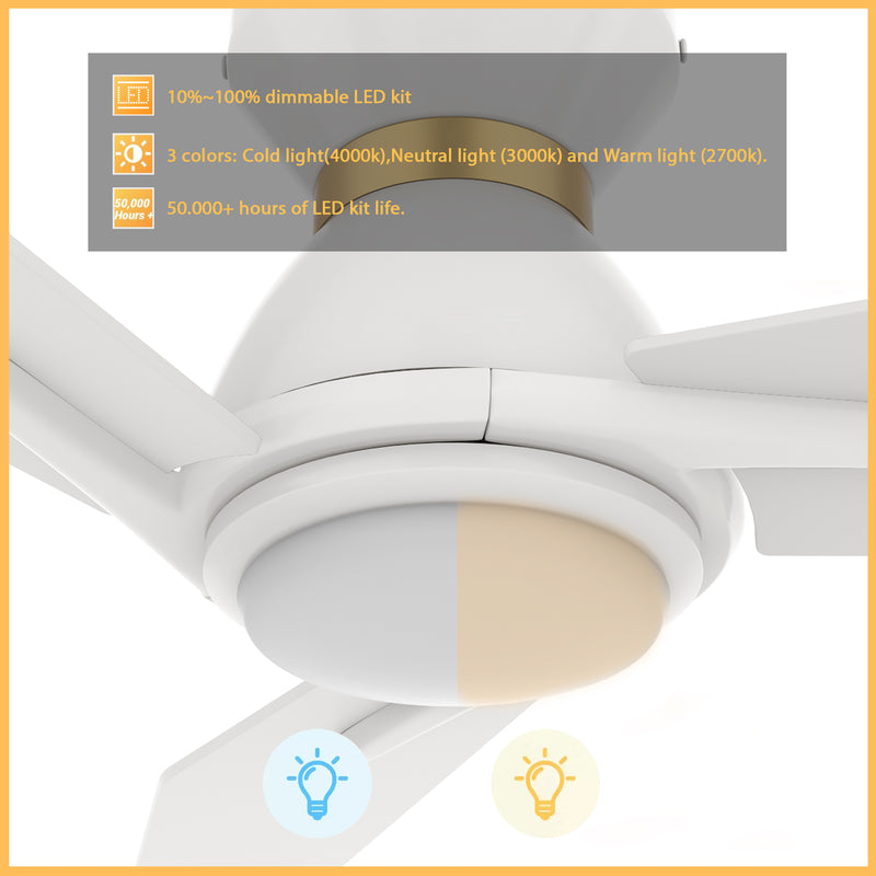 Carro CALEN 48 inch 3-Blade Flush Mount Smart Ceiling Fan with LED Light Kit & Remote Control- White/White (Gold Detail)