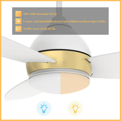 Carro HOBART 52 inch 3-Blade Smart Ceiling Fan with LED Light Kit & Remote- White/White (Gold Detail)