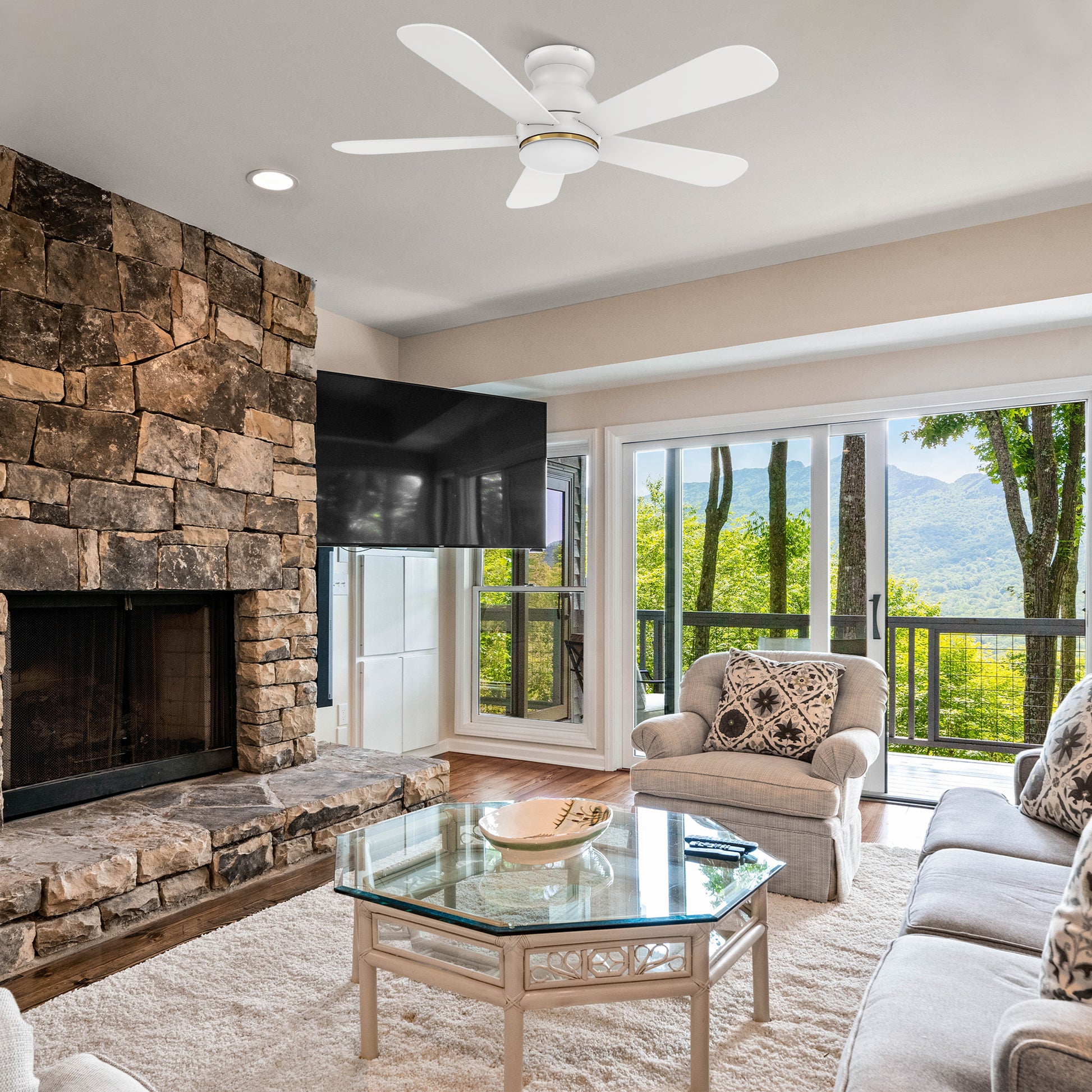 Carro DUBOIS 48 inch 5-Blade Flush Mount Smart Ceiling Fan with LED Light Kit & Remote- White/White