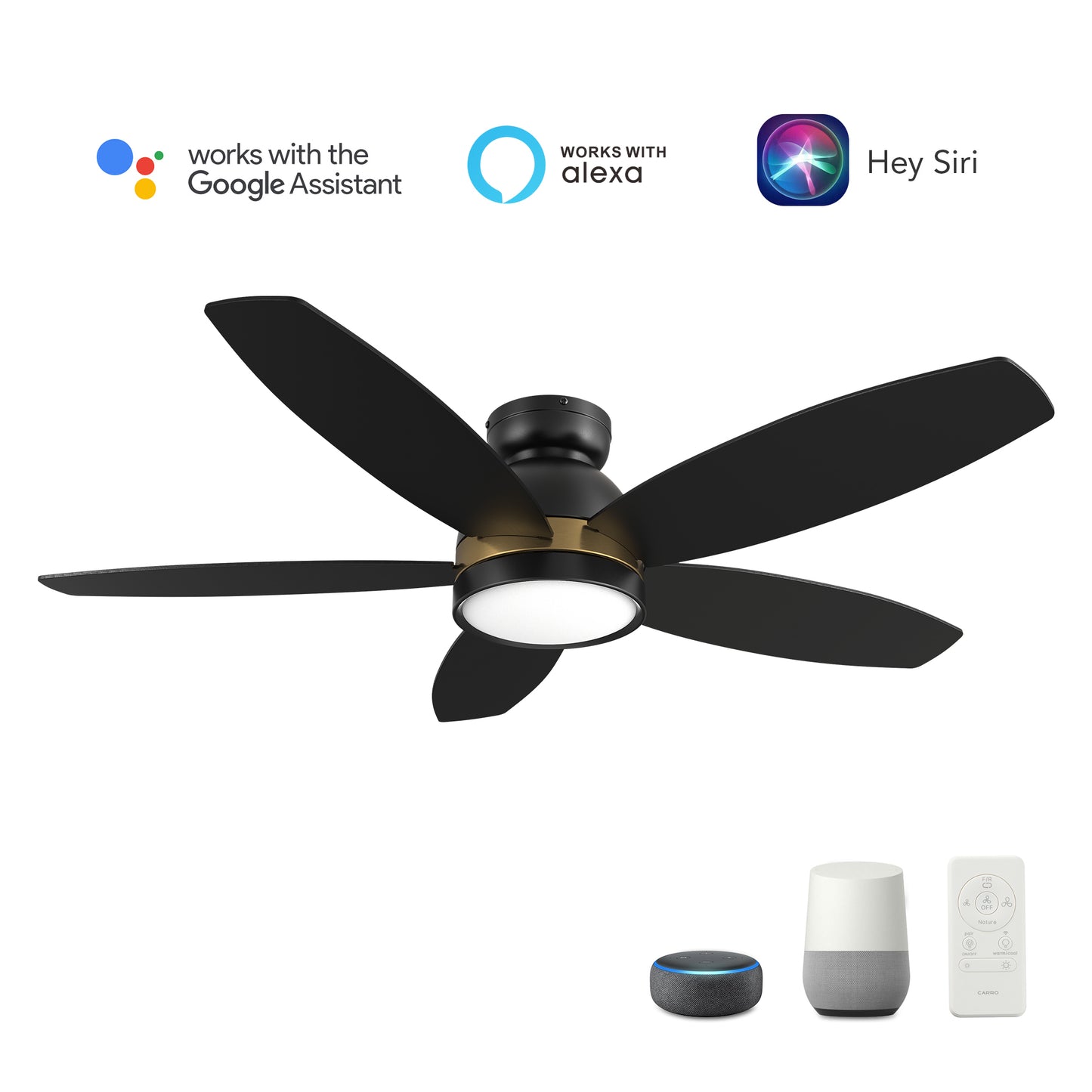 Carro GRANVILLE 48 inch 5-Blade Flush Mount Smart Ceiling Fan with LED Light Kit & Remote- Black/Black (Gold Detail)