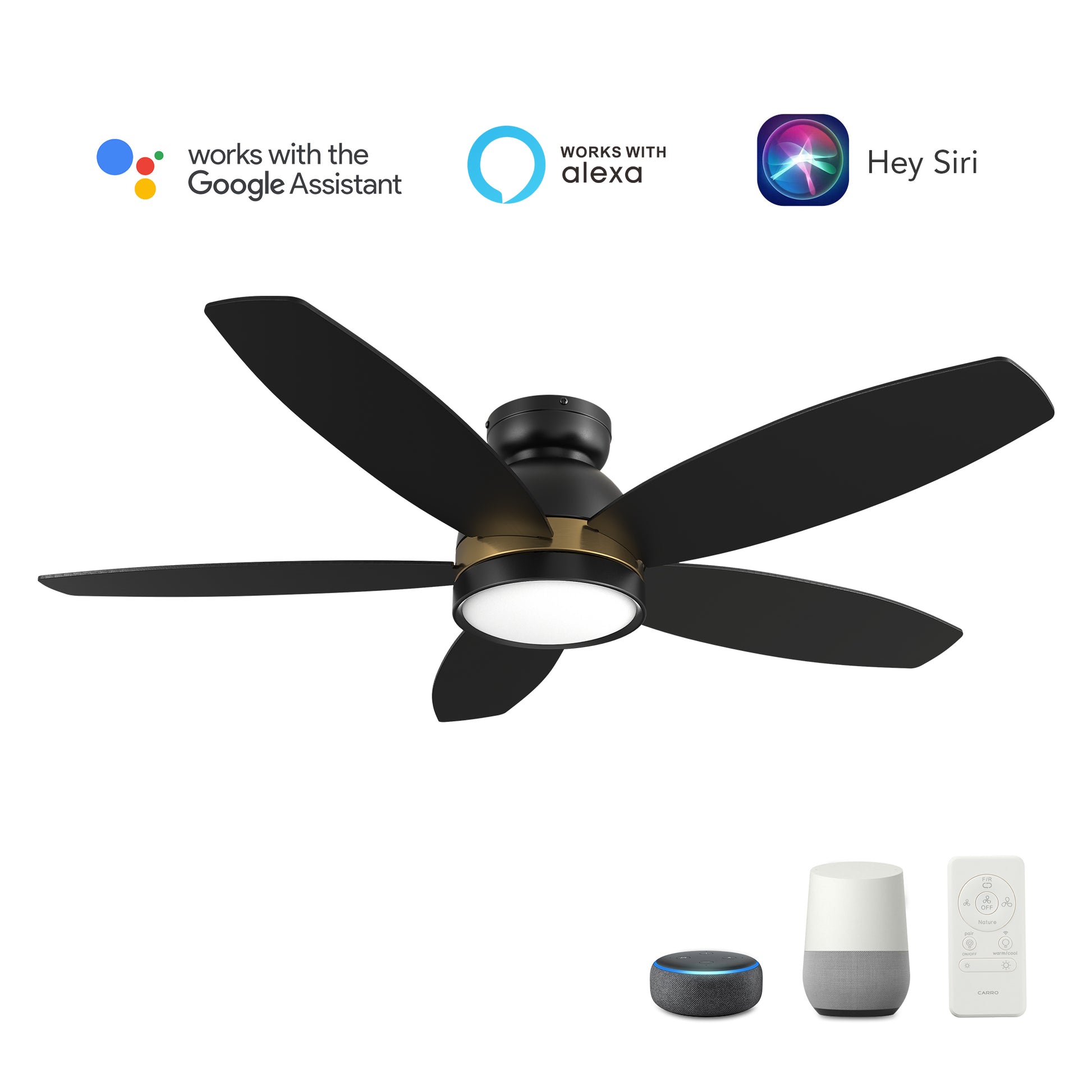 Carro GRANVILLE 48 inch 5-Blade Flush Mount Smart Ceiling Fan with LED Light Kit & Remote- Black/Black (Gold Detail)