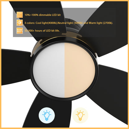 Carro GRANVILLE 48 inch 5-Blade Flush Mount Smart Ceiling Fan with LED Light Kit & Remote- Black/Black (Gold Detail)