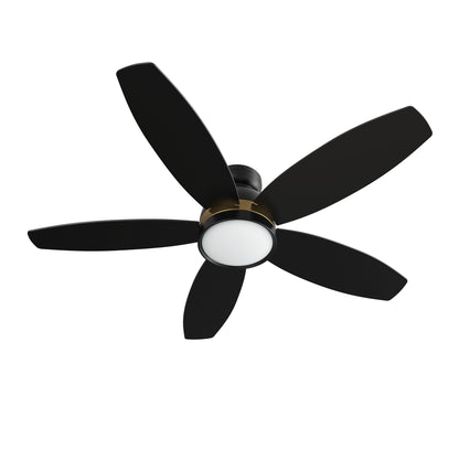 Carro GRANVILLE 48 inch 5-Blade Flush Mount Smart Ceiling Fan with LED Light Kit & Remote- Black/Black (Gold Detail)