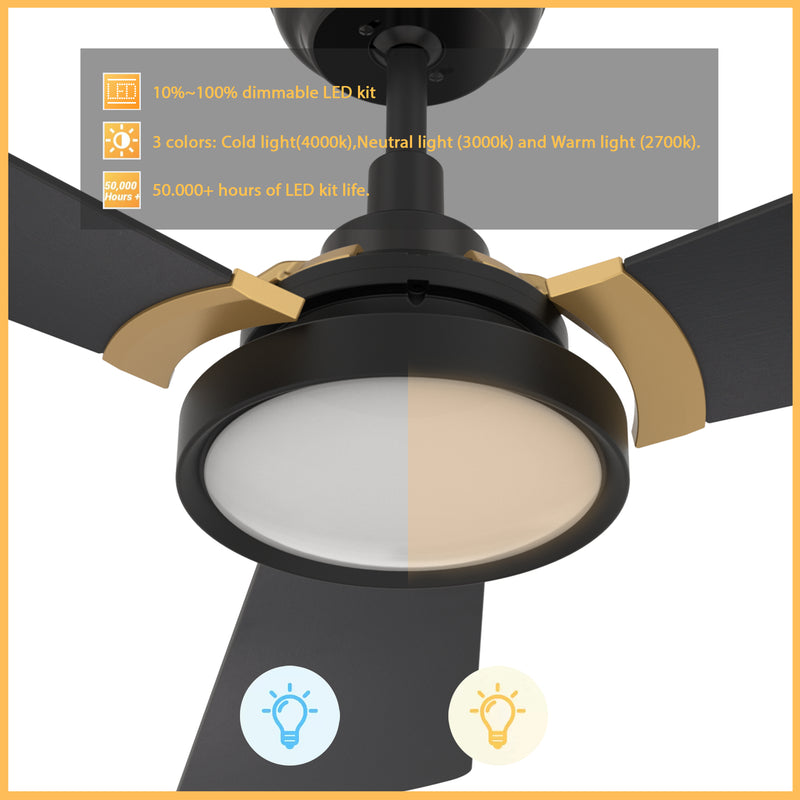 Carro Home BRISA 52 inch 3-Blade Smart Ceiling Fan with LED Light & Remote Control - Black/Black (Gold Details) Fan Blades