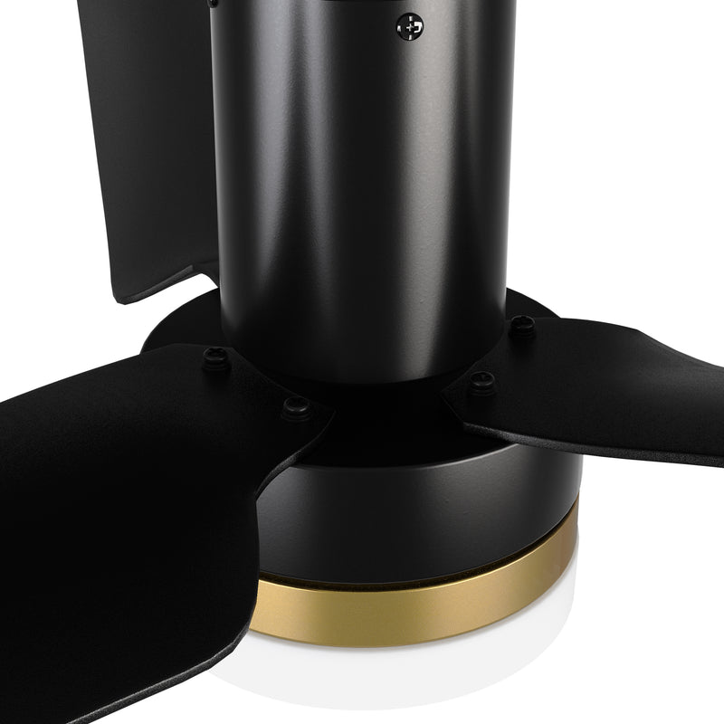 Carro USA BOISE 52 inch 3-Blade Flush Mount Smart Ceiling Fan with LED Light Kit & Remote - Black/Black(Gold Detail)