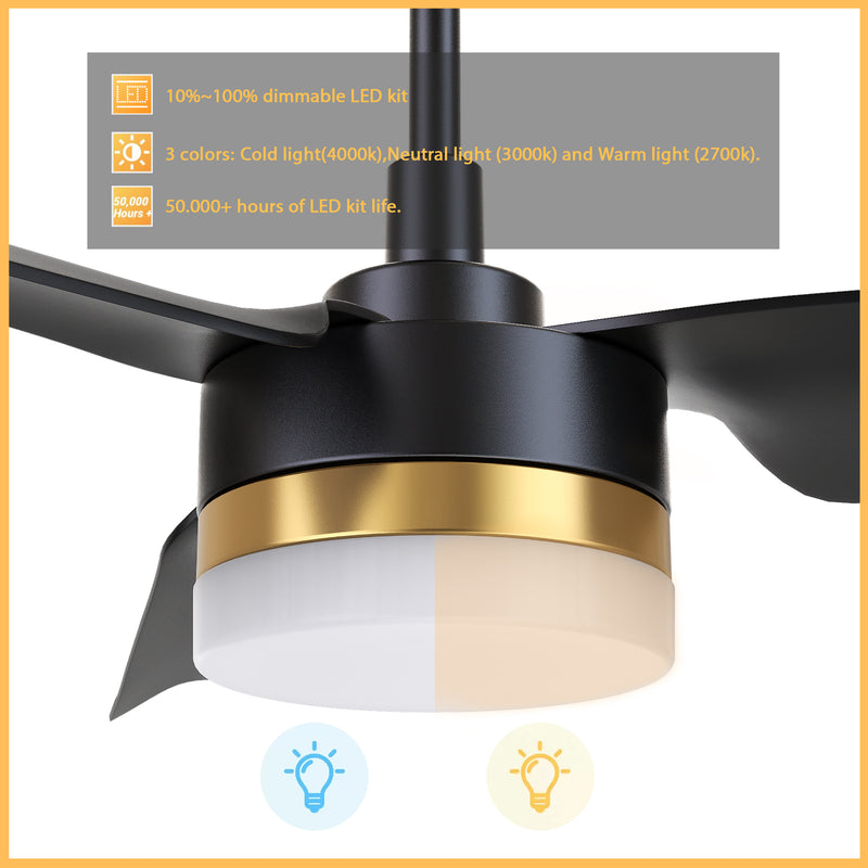 Carro ATTICUS 52 inch 3-Blade Smart Ceiling Fan with LED Light Kit & Remote Control- Black/Black (Gold Detail)