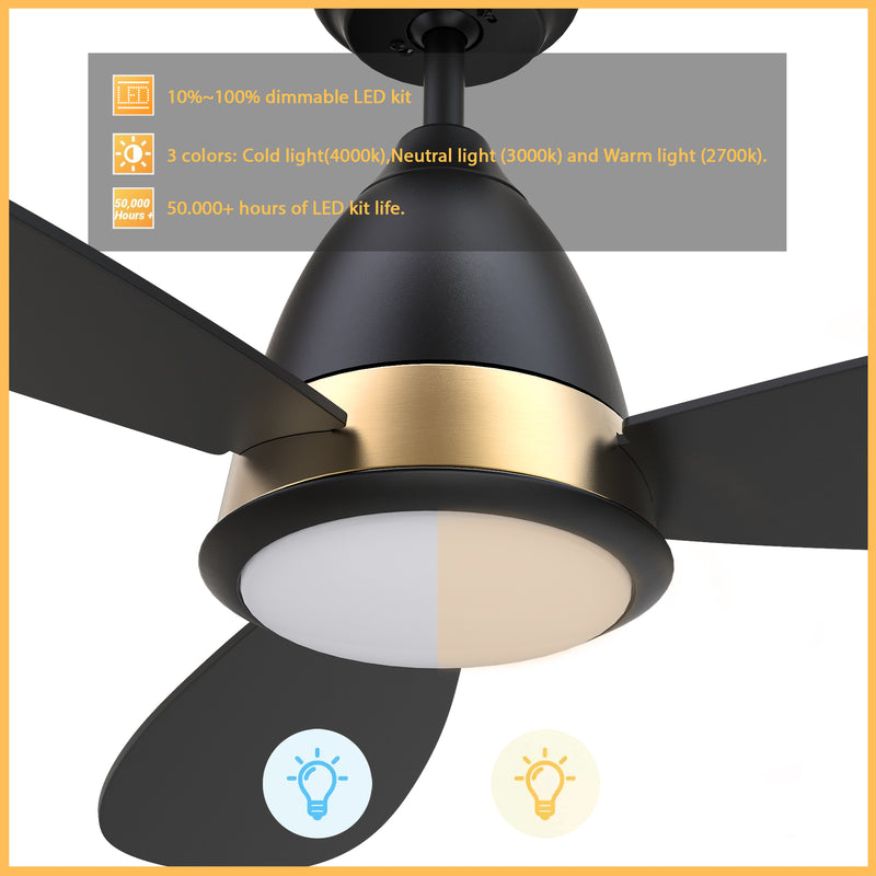 Carro YORK 3-Blade Smart Ceiling Fan with LED Light Kit & Remote Control- Black/Black (Gold Details)