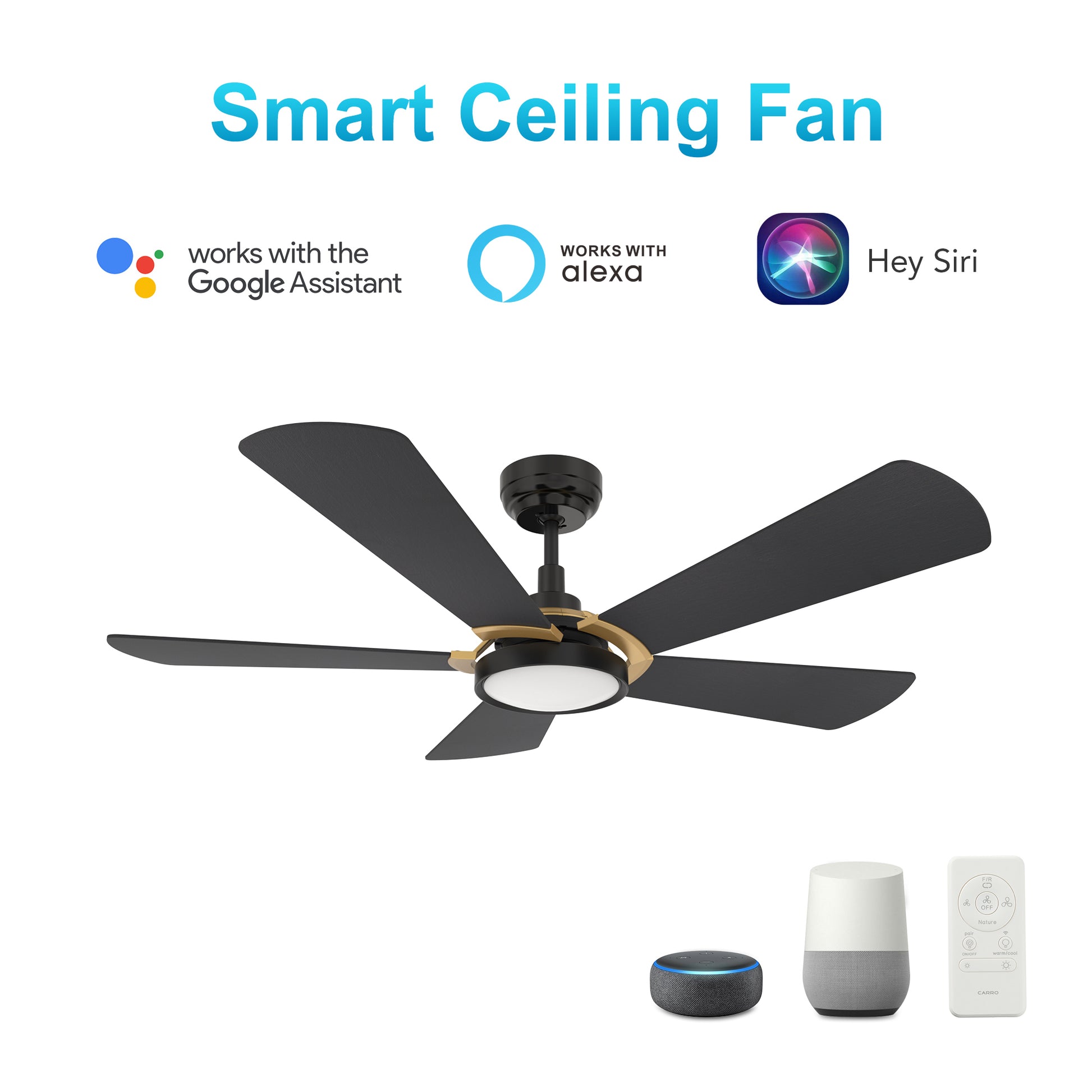 Carro WINSTON 52 inch 5-Blade Smart Ceiling Fan with LED Light Kit & Remote Control- Black/Black (Gold Detail)