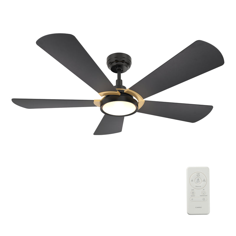 Carro WINSTON 52 inch 5-Blade Smart Ceiling Fan with LED Light Kit & Remote Control- Black/Black (Gold Detail)