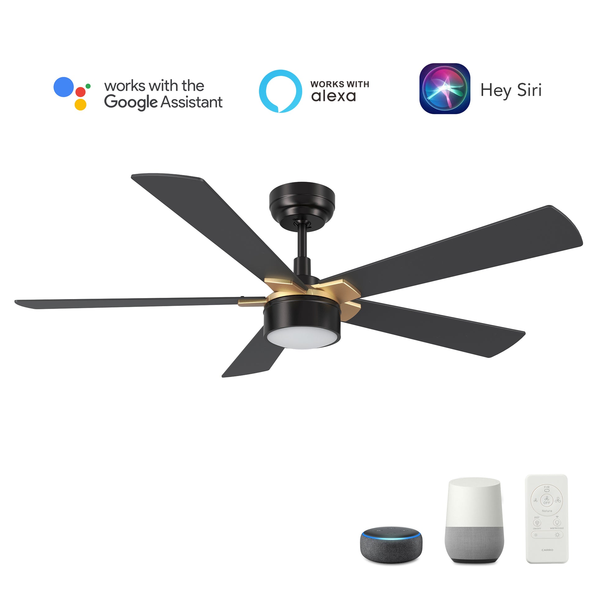 Carro STOCKTON 52 inch 5-Blade Smart Ceiling Fan with LED Light Kit & Remote Control- Black/Black (Gold Details)