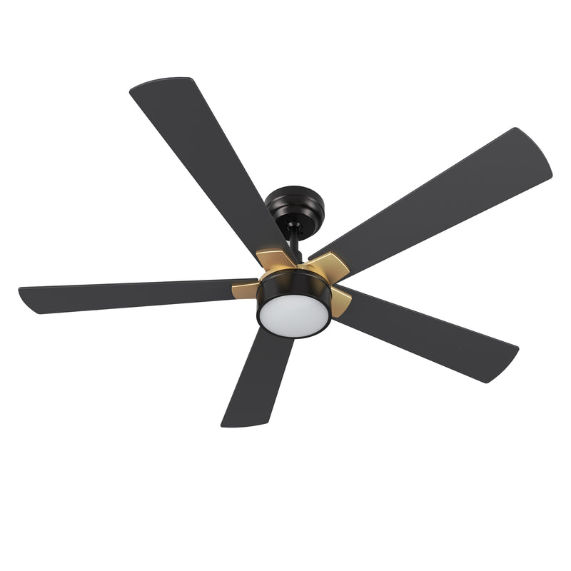 Carro STOCKTON 52 inch 5-Blade Smart Ceiling Fan with LED Light Kit & Remote Control- Black/Black (Gold Details)