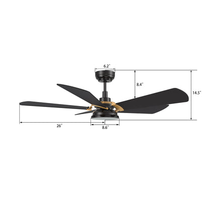 Carro SAVILI 52 inch 5-Blade Smart Ceiling Fan with LED Light Kit & Remote Control- Black/Black (Gold Details)